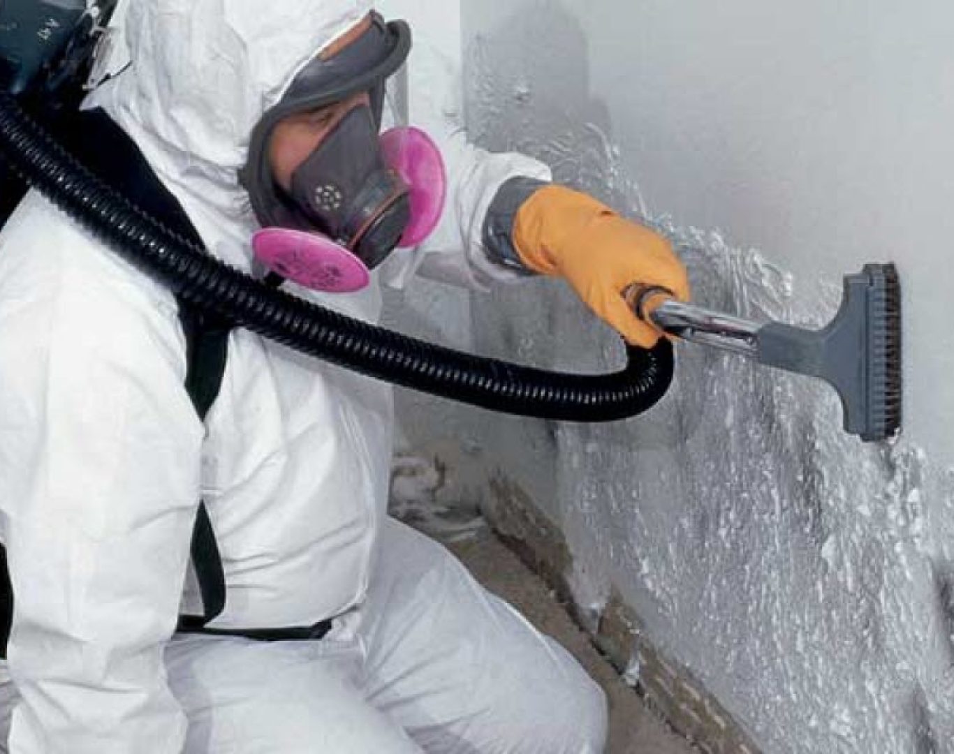 Brick City Restoration experts providing Mold Remediation in Cary, NC