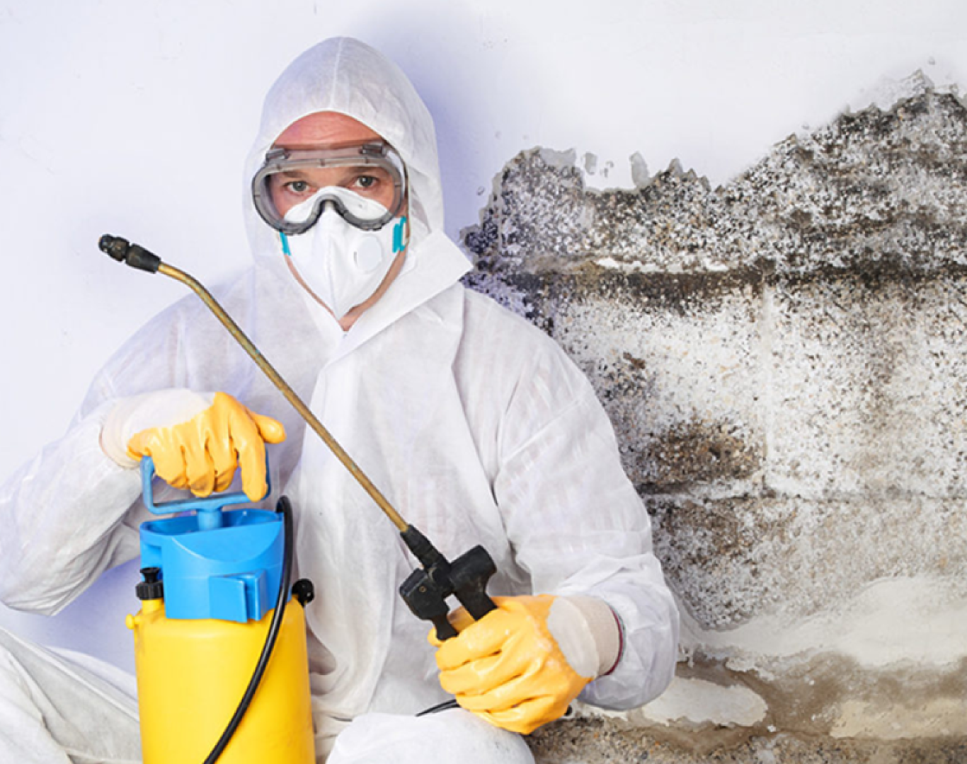 mould-cleanup-900x600x Professional damage restoration service Cary NC with water cleanup equipment