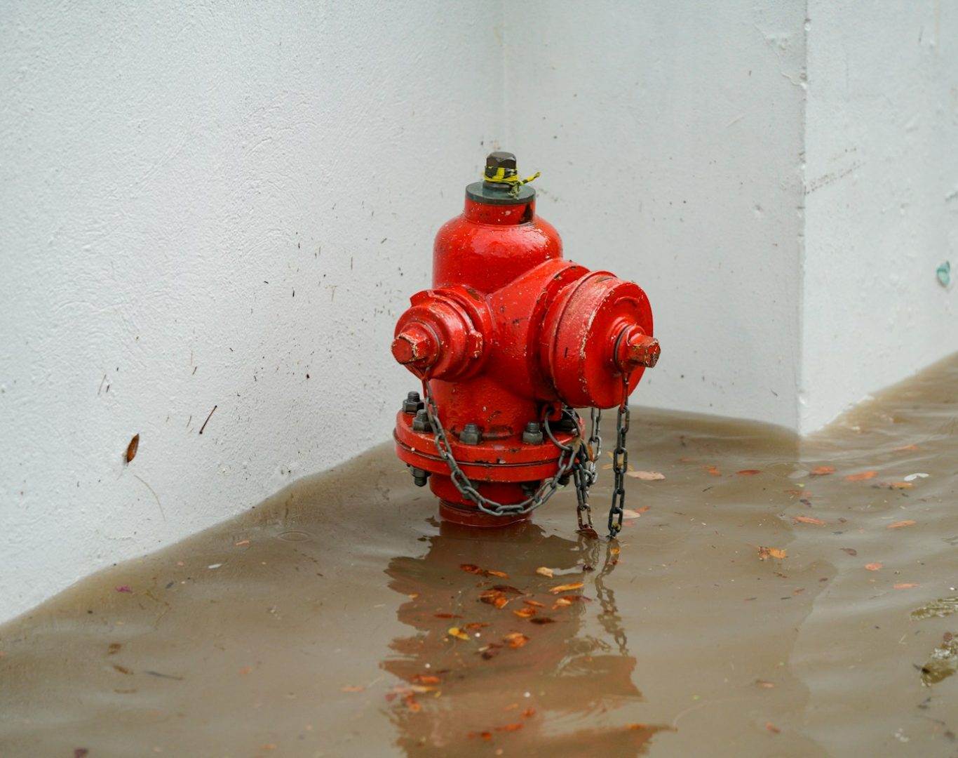 Photo by Aldward Castillo water damage repair services Cary NC home restoration